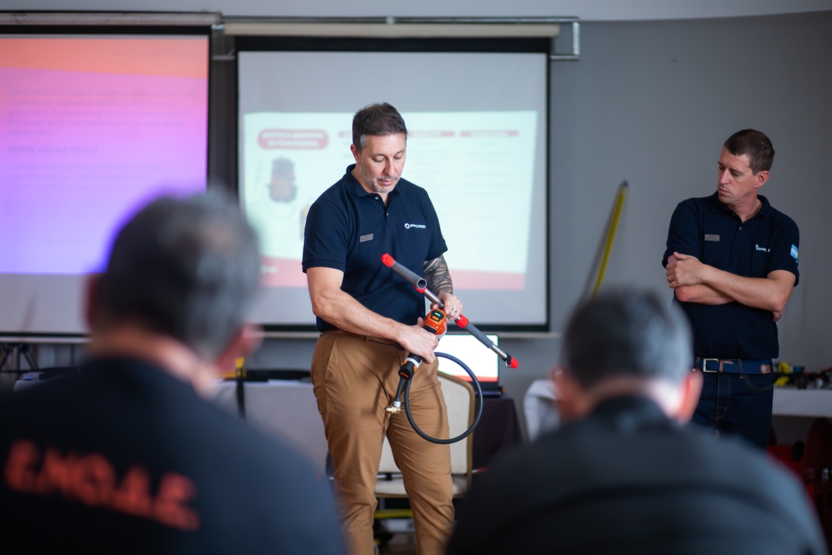 Mass Image Compressor, Quality:100