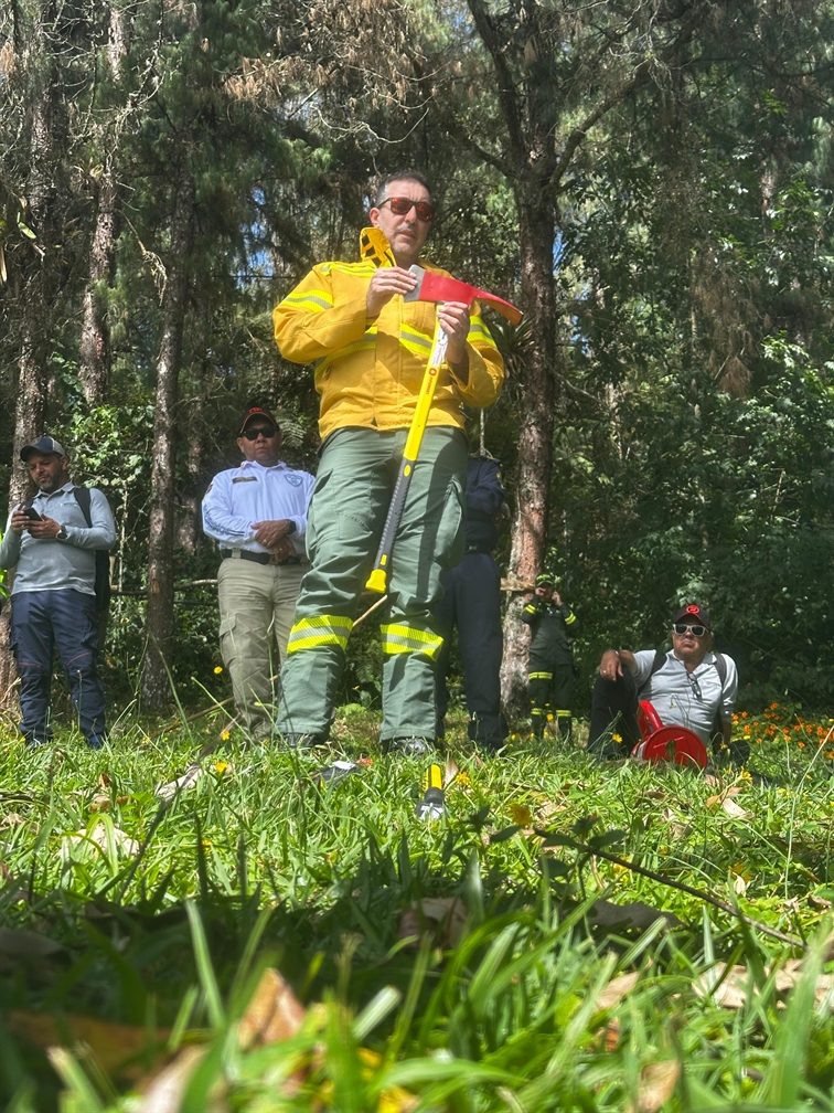 Mass Image Compressor, Quality:100