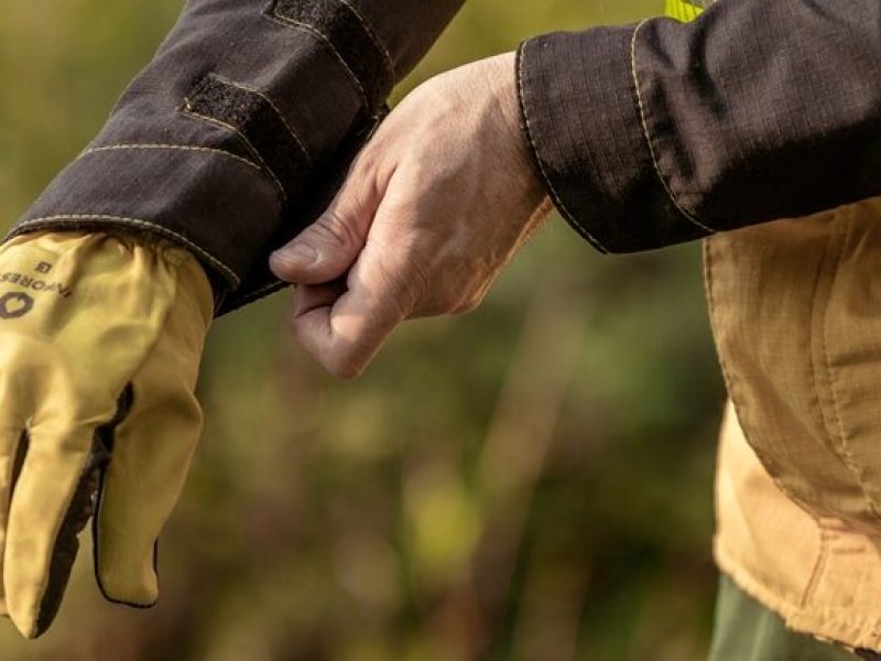 Mass Image Compressor, Quality:100